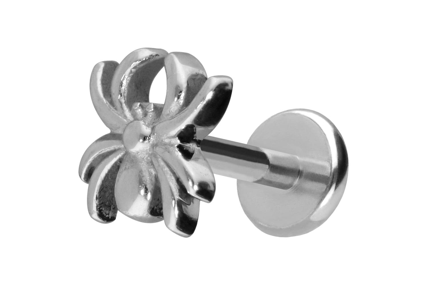 Titan Labret Piercing mit Push Fit SPINNE